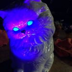 @joepglass