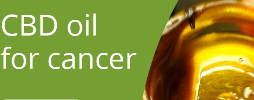Can CBD help with Cancer?