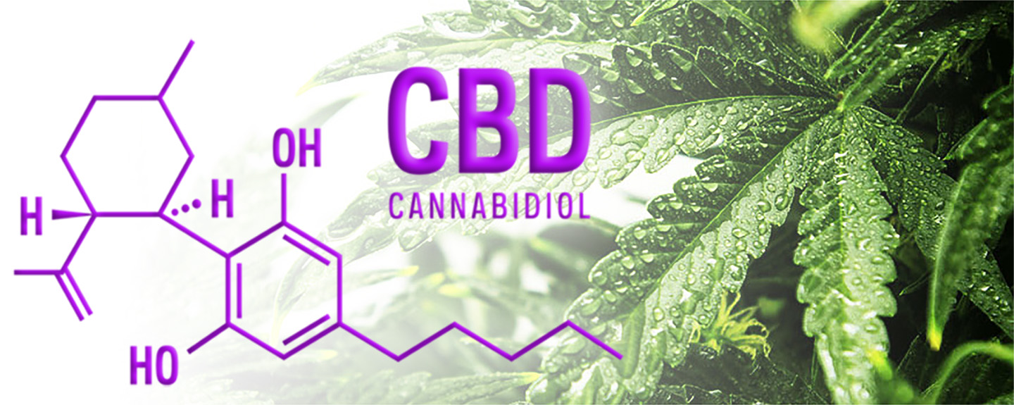 What is CBD? - CANNABIDIOL - And What Does CBD Do?