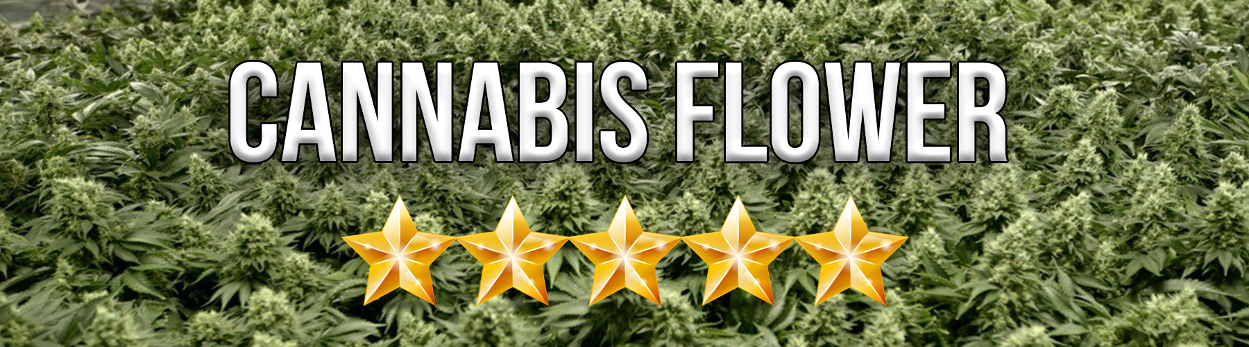 cannabis flower reviews by elev8 presents