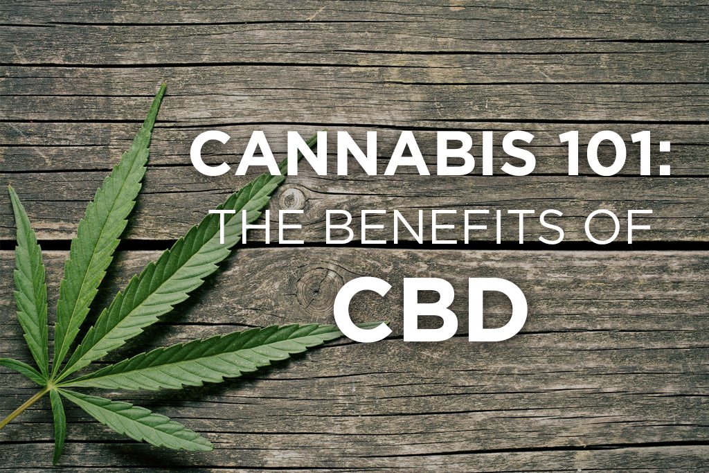 CBD 101, learn about cannabis