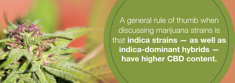 CCBD dominate cannabis strains
