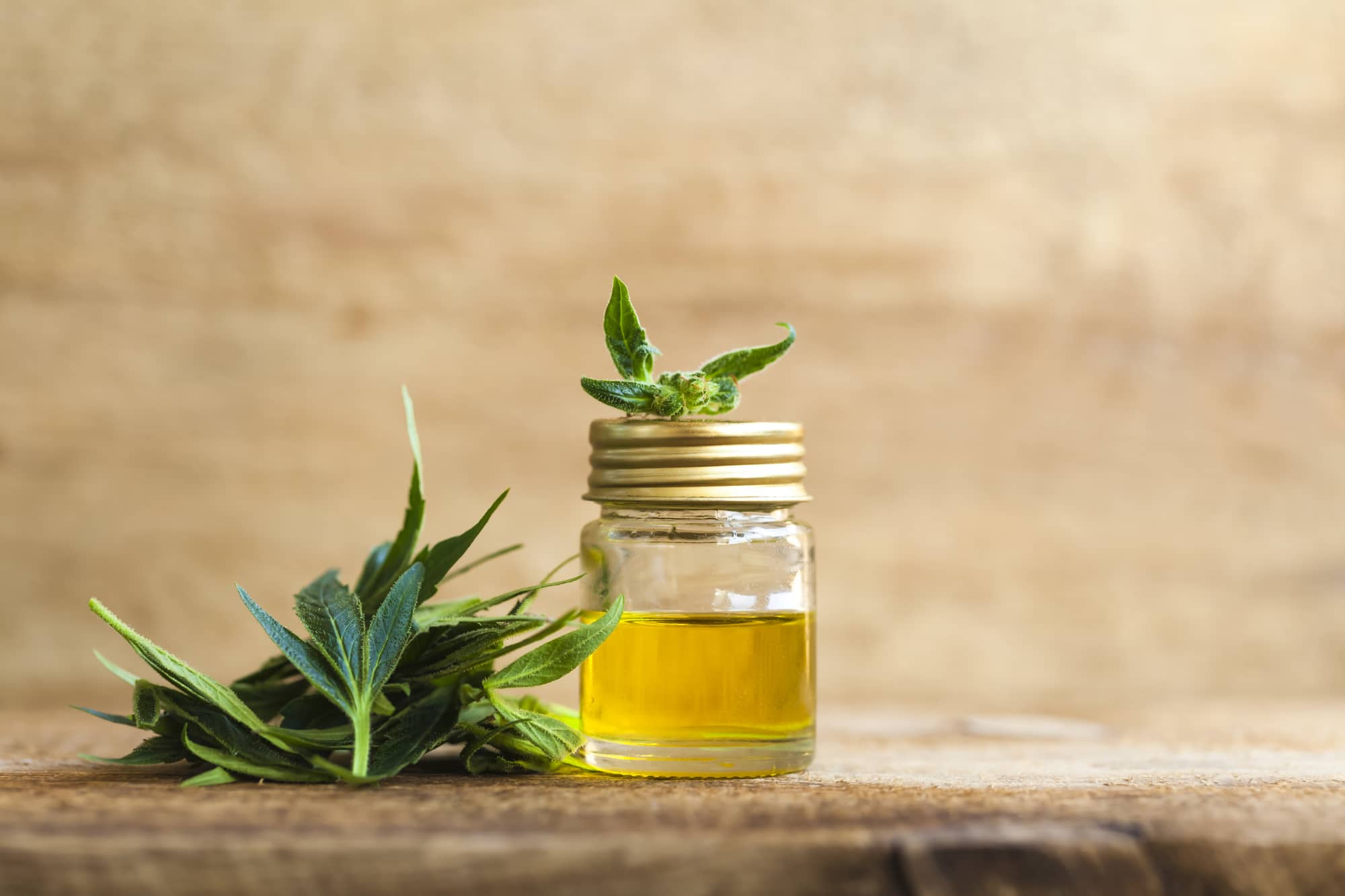 Popular CBD products