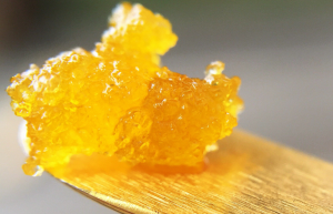 Texture of live resign cannabis concentrate