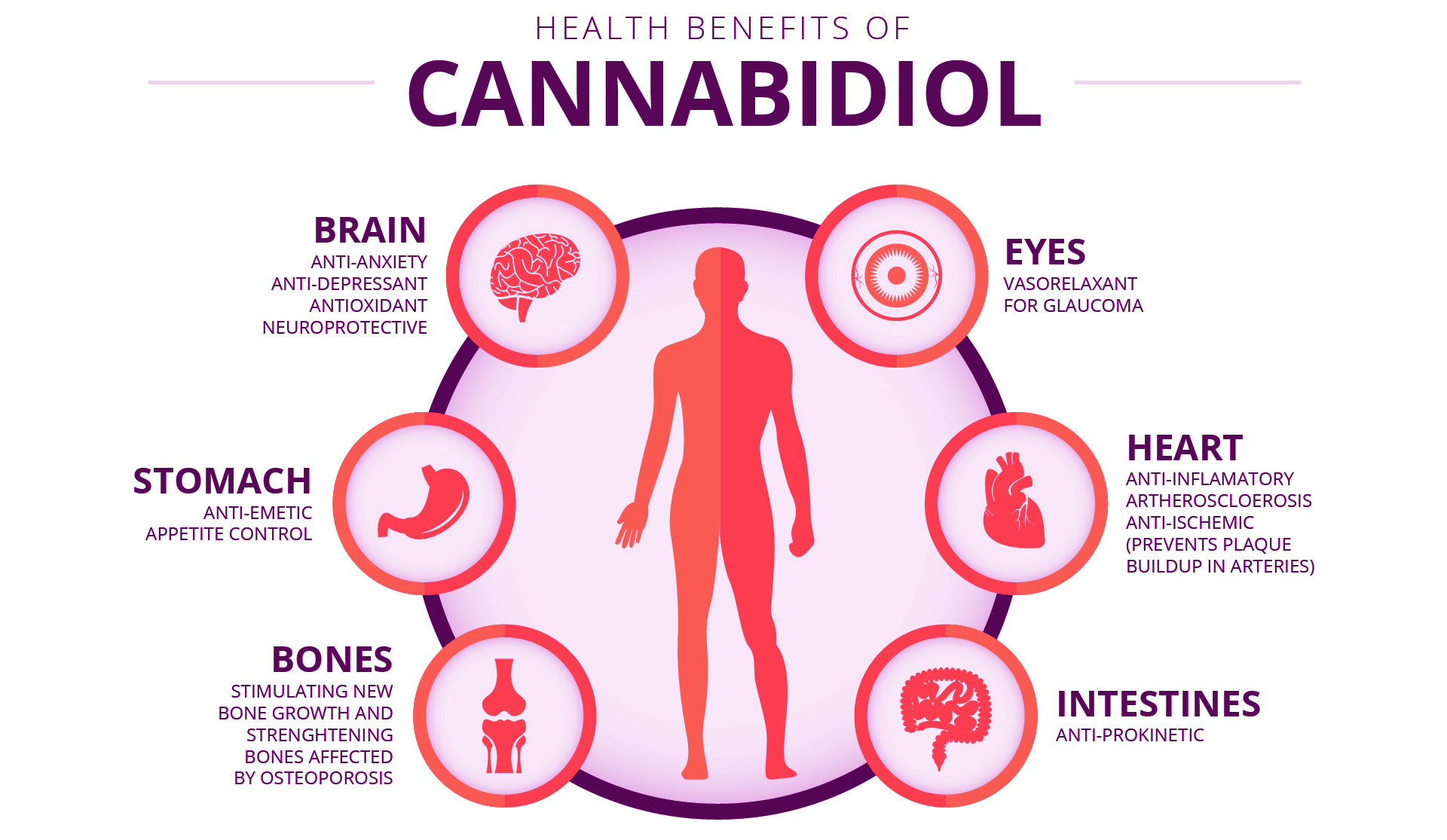 What does CBD do?