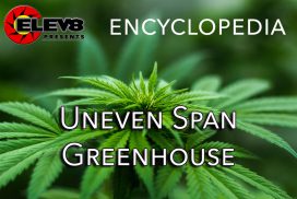 Uneven Span Greenhouse Elev8 Presents Uneven Span Greenhouse 272x182